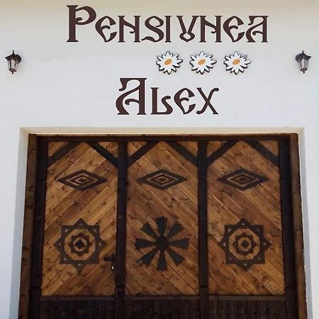 Pensiunea Alex Marga Bagian luar foto