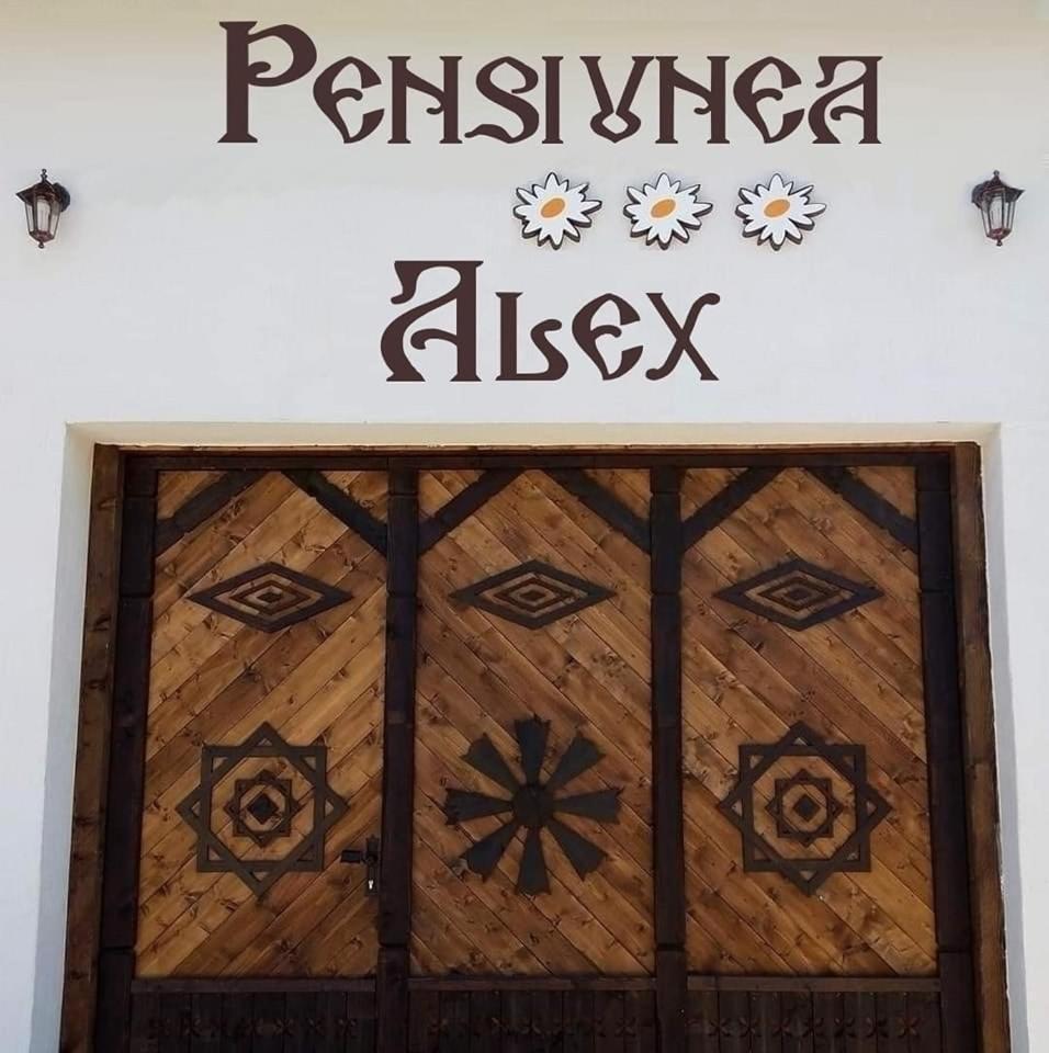 Pensiunea Alex Marga Bagian luar foto